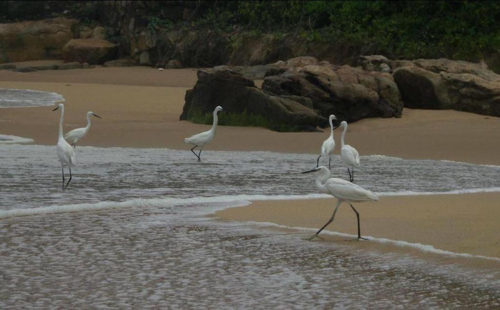 Karikkathi Beach House Thiruvananthapuram Dış mekan fotoğraf